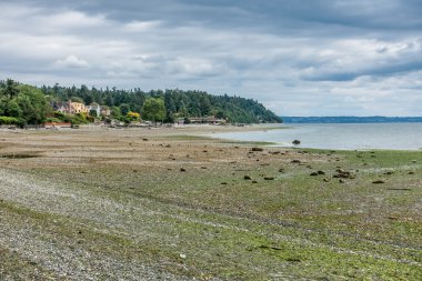 Normandy Park 3 düşük Tide