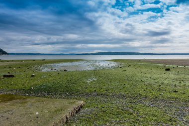 Puget Sound düşük Tide At