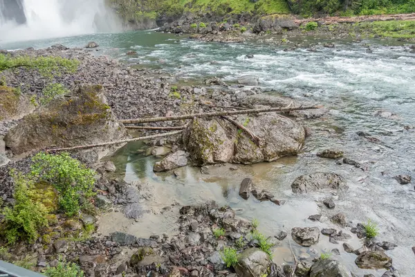 Fiume di Snoqualmie Shoreline 4 — Foto Stock