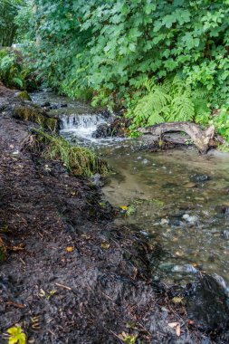 Küçük Pacific Northwest akışı 2