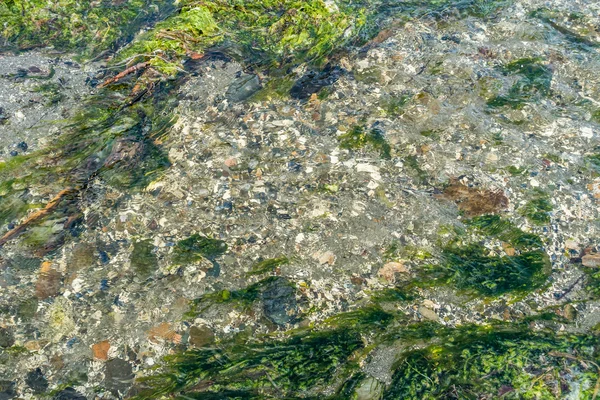 Strandlinjen Stream abstrakt — Stockfoto