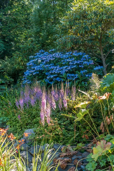 Blue Flowers Landscape 2 — Stock Photo, Image