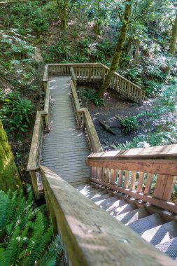 Köprü üzerinden akışı 2