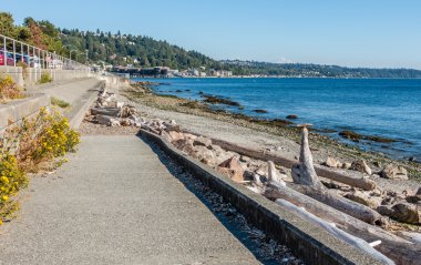 Batı Seattle'da kıyı