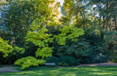 Tezgah ve yeşil yaprakları