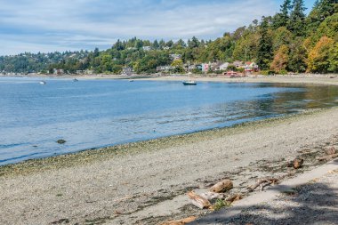 Batı Seattle sahil şeridi 4