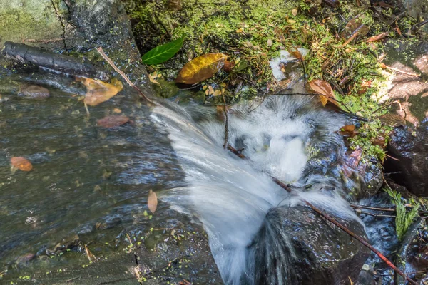 Primo piano sull'acqua corrente — Foto Stock