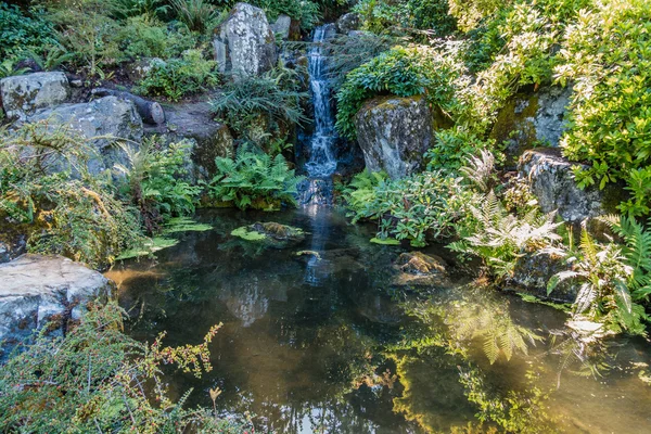 Cascada y piscina — Foto de Stock