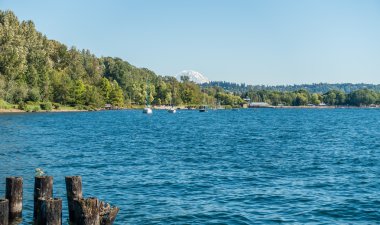 Coulon Park kıyı 2