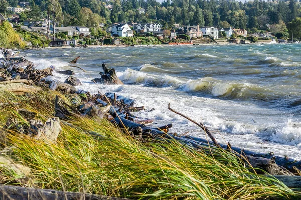 Widok Puget Sound Wietrzny Dzień Normandy Park Waszyngton — Zdjęcie stockowe