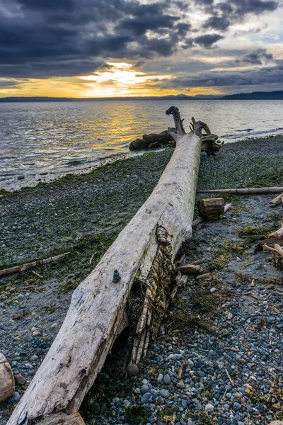 Sebuah Kayu Apung Menunjuk Arah Matahari Terbenam Seattle Barat Washington — Stok Foto