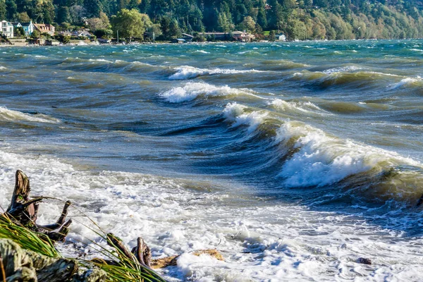 Pohled Puget Sound Větrného Dne Normandie Parku Washingtonu — Stock fotografie