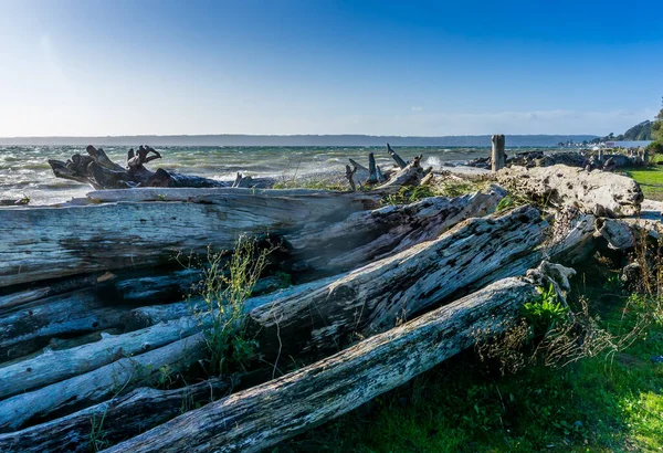 風の強い日にワシントン州ノルマンディー公園の海岸線を流れる流木 — ストック写真