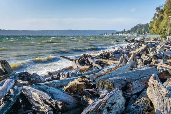 Driftwood Alinha Costa Normandy Park Washington Dia Ventoso — Fotografia de Stock