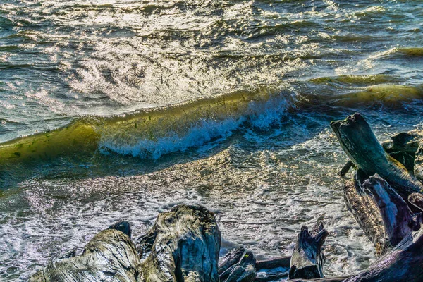 Landgang Einem Windigen Tag Normandie Park Washington — Stockfoto