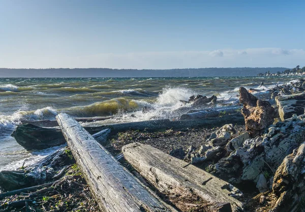 Spray Megtölti Levegőt Hullámok Lezuhan Naplók Normandy Park Washington — Stock Fotó