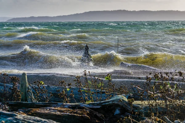 Vlny Zřítí Pobřeží Větrného Dne Normandii Park Washington — Stock fotografie