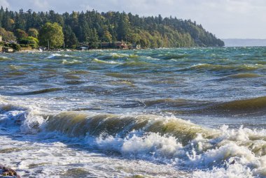 Rüzgarlı bir günde Normandiya Parkı, Washington 'dan Puget Sound manzarası.