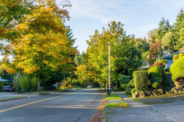 Burien, Washington 'da sonbaharda bir cadde manzarası.
