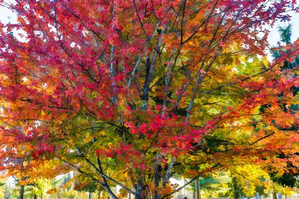 Illustration Eines Baumes Mit Leuchtenden Herbstfarben — Stockfoto