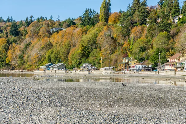 Des Moines Washington Daki Deniz Kıyısındaki Evlerin Üzerinde Sonbahar Ağaçları — Stok fotoğraf