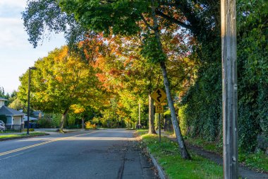 Burien, Washington 'da sonbaharda bir cadde manzarası.