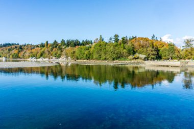 Des Moines, Washington 'daki deniz kıyısındaki evlerin üzerinde sonbahar ağaçları.