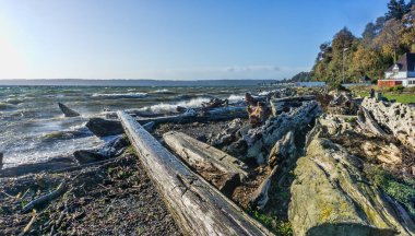 Sprey, Normandiya Parkı, Washington 'daki kütüklere çarpan dalgaların havasını dolduruyor.