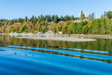 Des Moines, Washington 'daki deniz kıyısındaki evlerin üzerinde sonbahar ağaçları.
