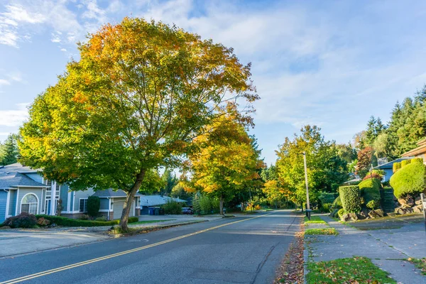 Blick Auf Eine Straße Burien Washington Herbst — Stockfoto