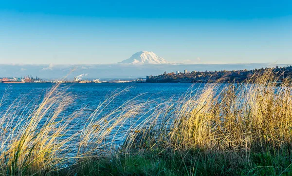 Vista Del Puerto Tacoma Monte Rainier Desde Ruston Washington —  Fotos de Stock