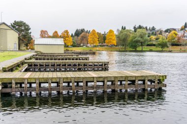Seattle 'daki evler Washington Gölü' ne bakıyor. Sonbahar geldi..