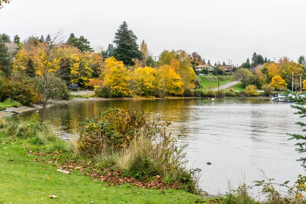 A view of a marina along Lake Washington in Seattle. It is autumn.