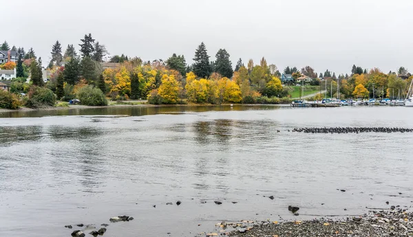 A view of a marina along Lake Washington in Seattle. It is autumn.