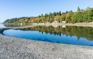 Sonbahar renkleri Des Moines, Washington 'daki gelinciklere yansıyor..