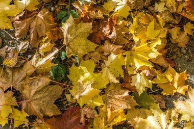 Yere yakın bir düşüş vuruşu..