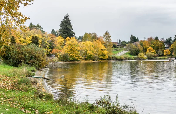 Herbstbaum Und Blätter Ufer Des Washingtonsees Seattle — Stockfoto