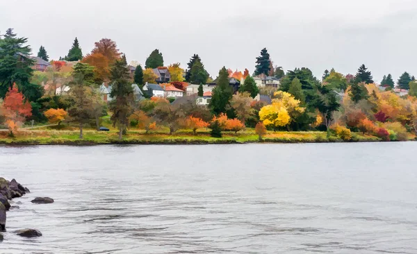 Homes face Lake Washington in Seattle. It is autumn.