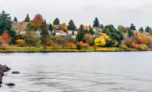 Die Häuser Liegen Direkt Washingtonsee Seattle Ist Herbst — Stockfoto