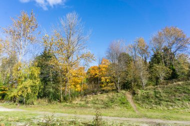 Pat Ryan Field 'ın Seatc, Washington' da sonbaharda çekilmiş görüntüsü.