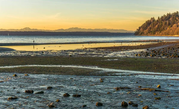 Uitzicht Kust Zee Des Moines Washington — Stockfoto