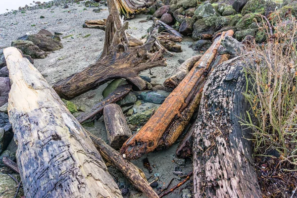 Diverses Billes Bois Flotté Bordent Rivage Ruston Washington — Photo