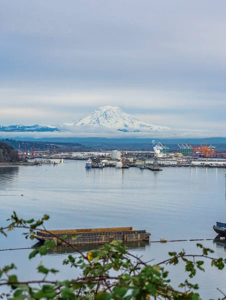 Rainier Dağı Tacoma Limanı Nın Arkasında Karla Kaplı — Stok fotoğraf