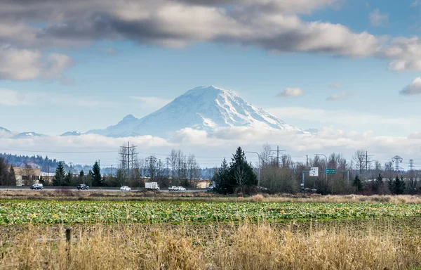 Auburn, Washington 'daki Rainier Dağı' nın manzarası..