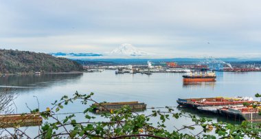 Rainier Dağı Tacoma Limanı 'nın arkasında karla kaplı..