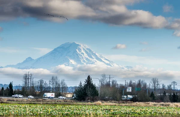 Blick Auf Ein Feld Mit Mount Rainier Der Ferne Auburn — Stockfoto