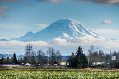 Auburn, Washington 'daki Rainier Dağı' nın manzarası..
