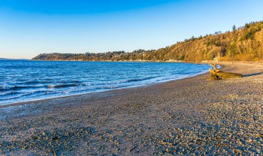Burien, Washington 'daki Seahurst Plaj Parkı' nın manzarası..
