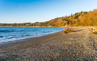 Burien, Washington 'daki Seahurst Plaj Parkı' nın manzarası..