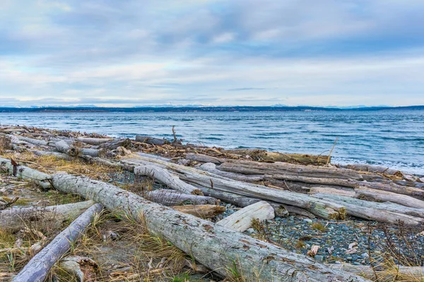 Driftwood Verbindt Kust Port Townsend Washington — Stockfoto